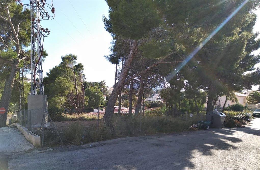 Plot For Sale in Calpe - 156,000€ - Photo 2